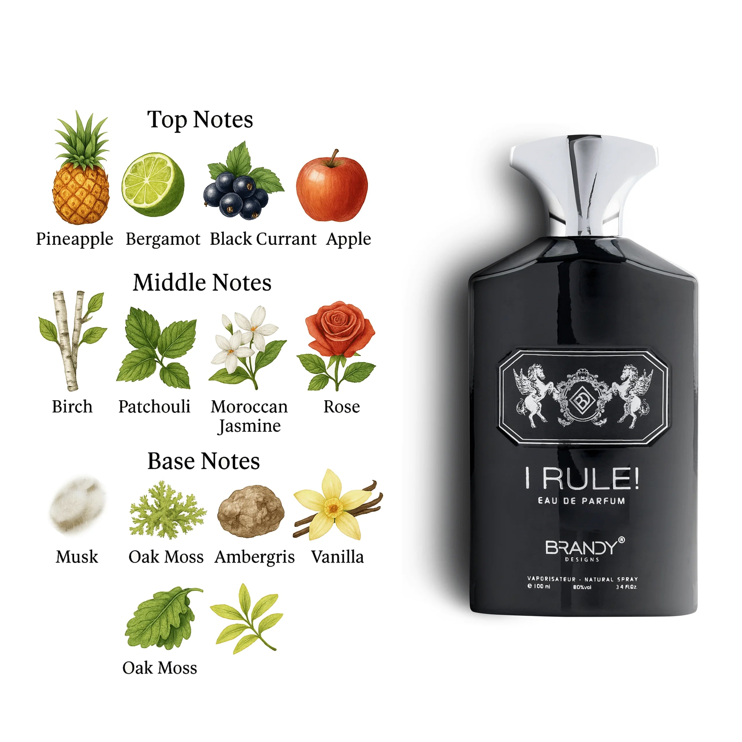 I RULE EDP 100ML - BRANDY DESIGNS (5)