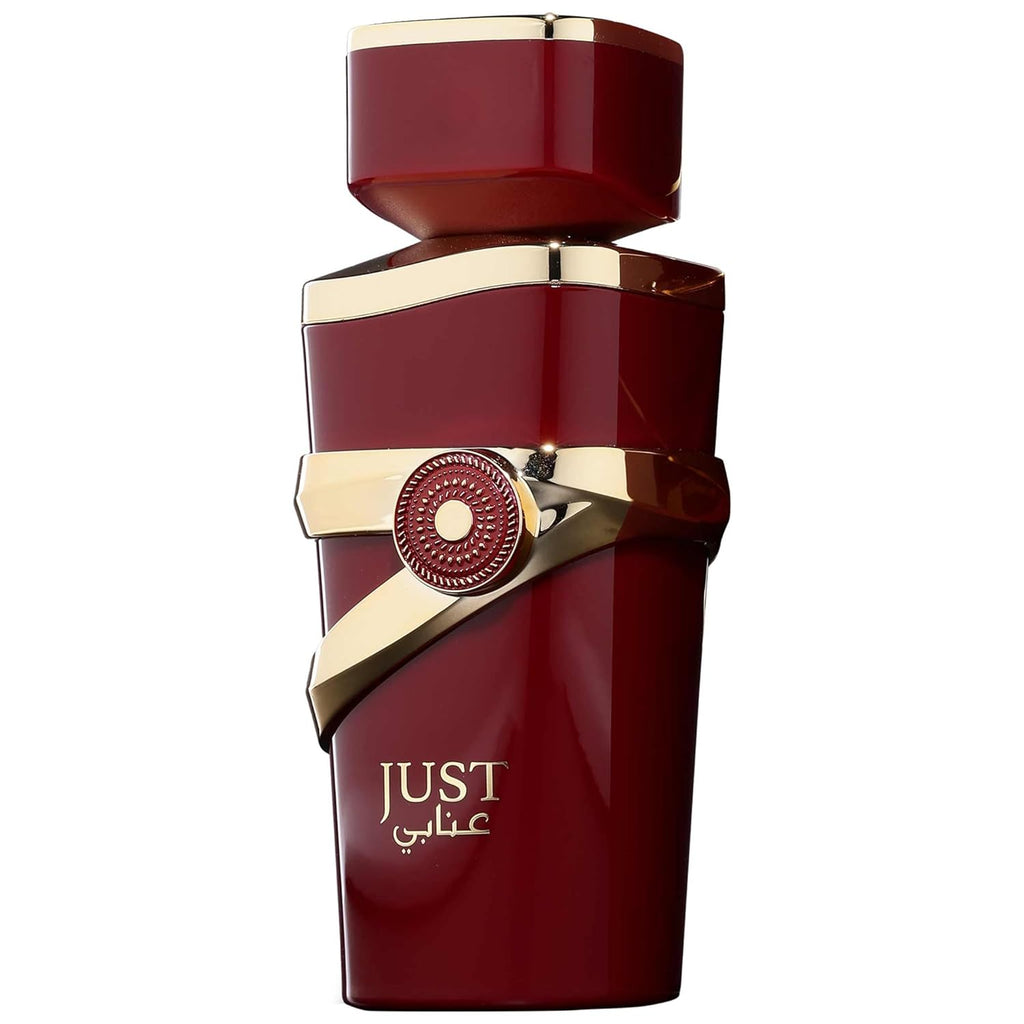 JUST ANABI EDP 100ML - FRAGRANCE WORLD