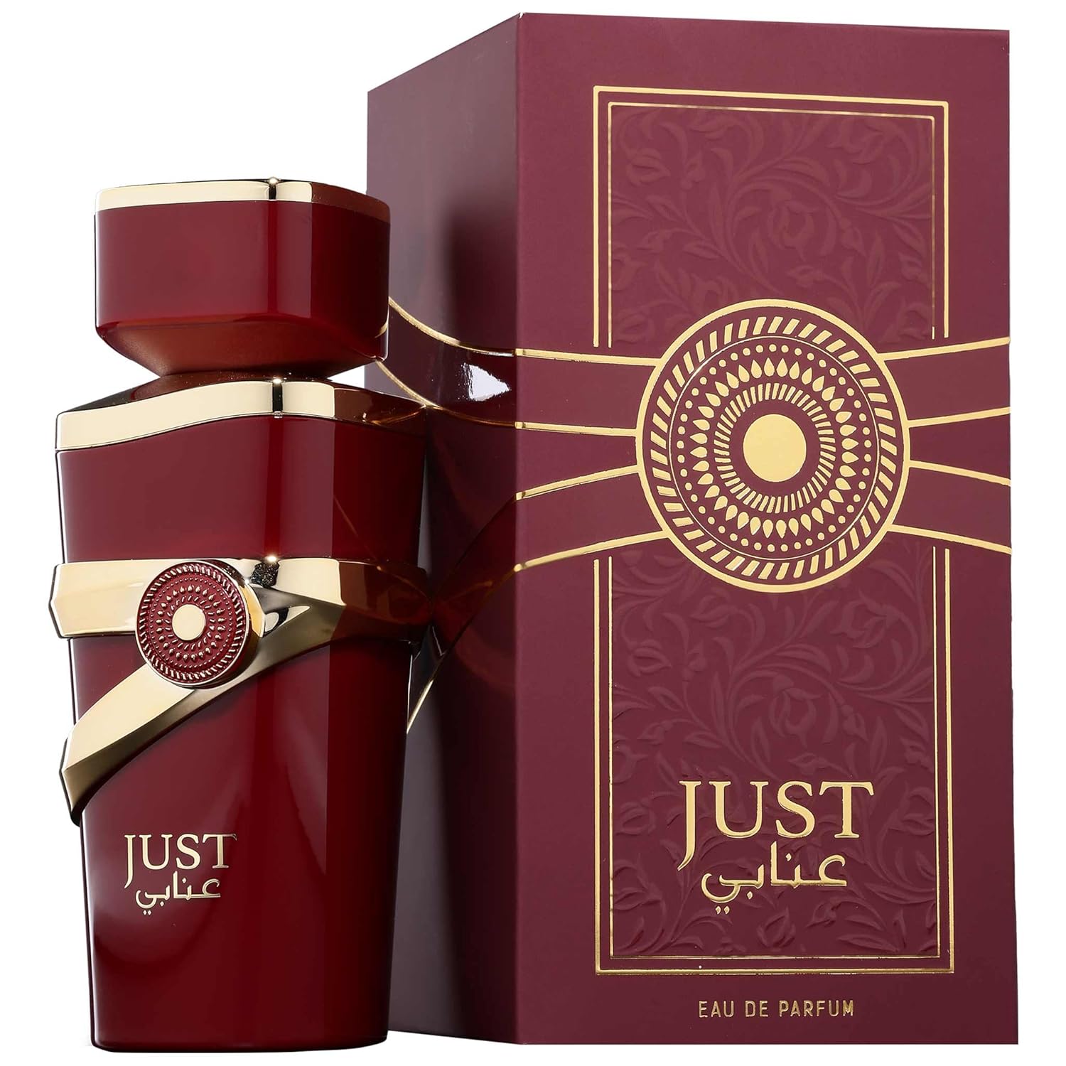 JUST ANABI EDP 100ML - FRAGRANCE WORLD (3)