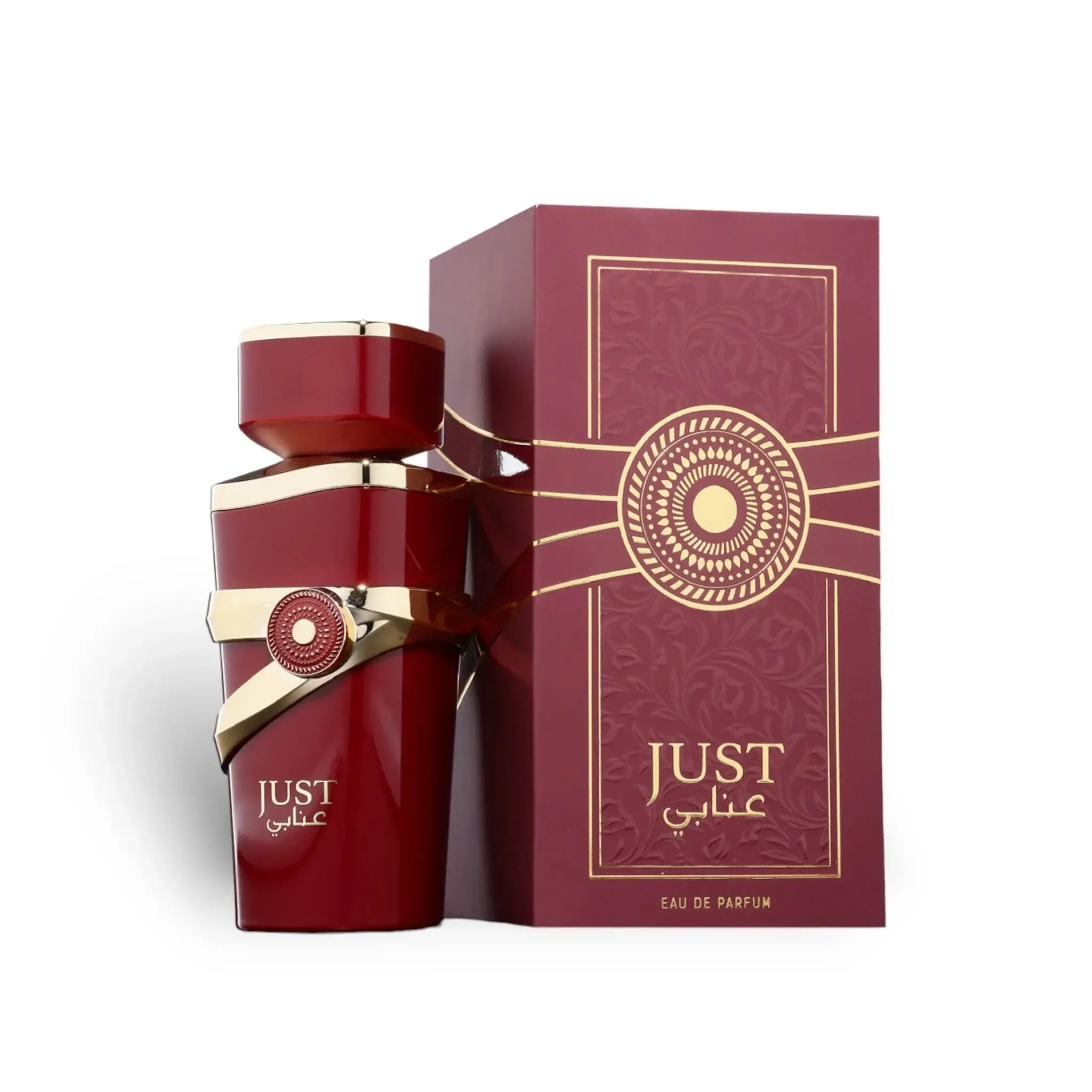 JUST ANABI EDP 100ML - FRAGRANCE WORLD (4)