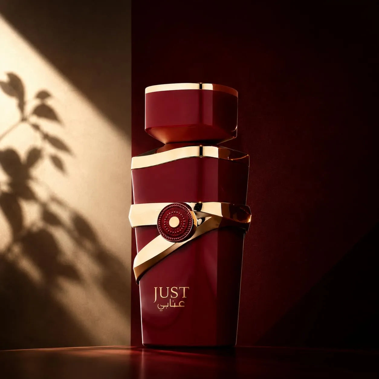 JUST ANABI EDP 100ML - FRAGRANCE WORLD (5)