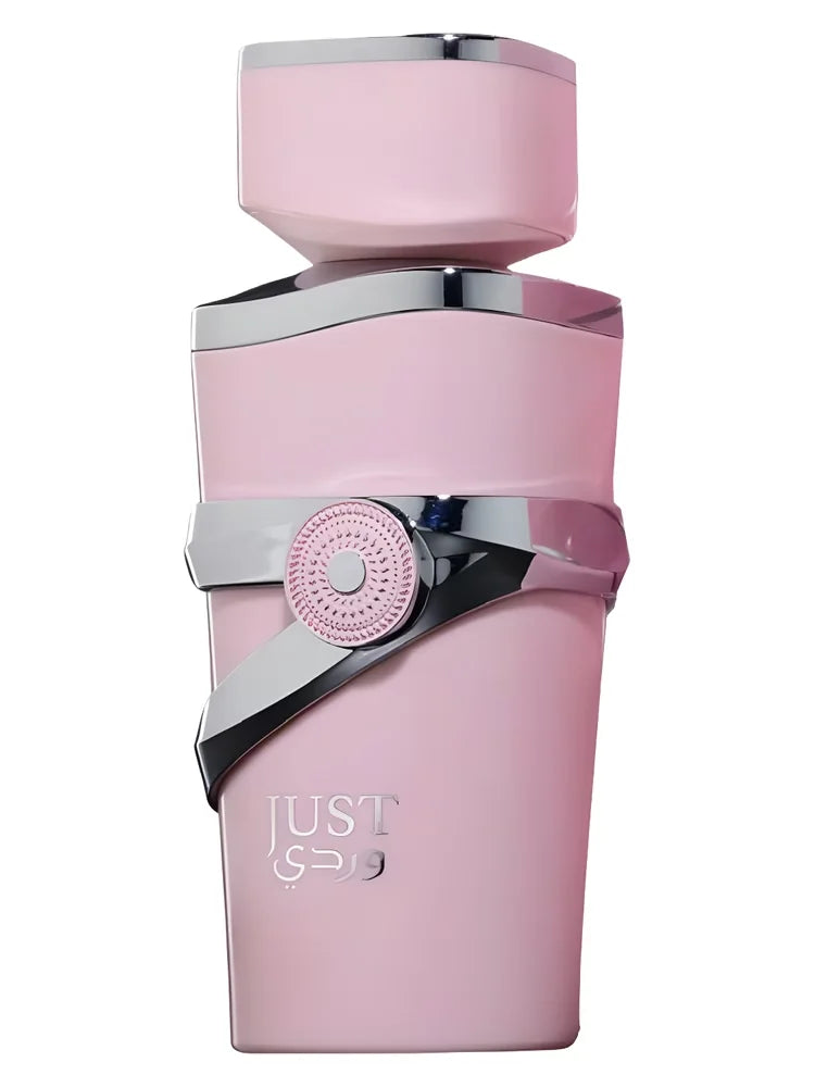 JUST WARDI EDP 100ML - FRAGRANCE WORLD (3)