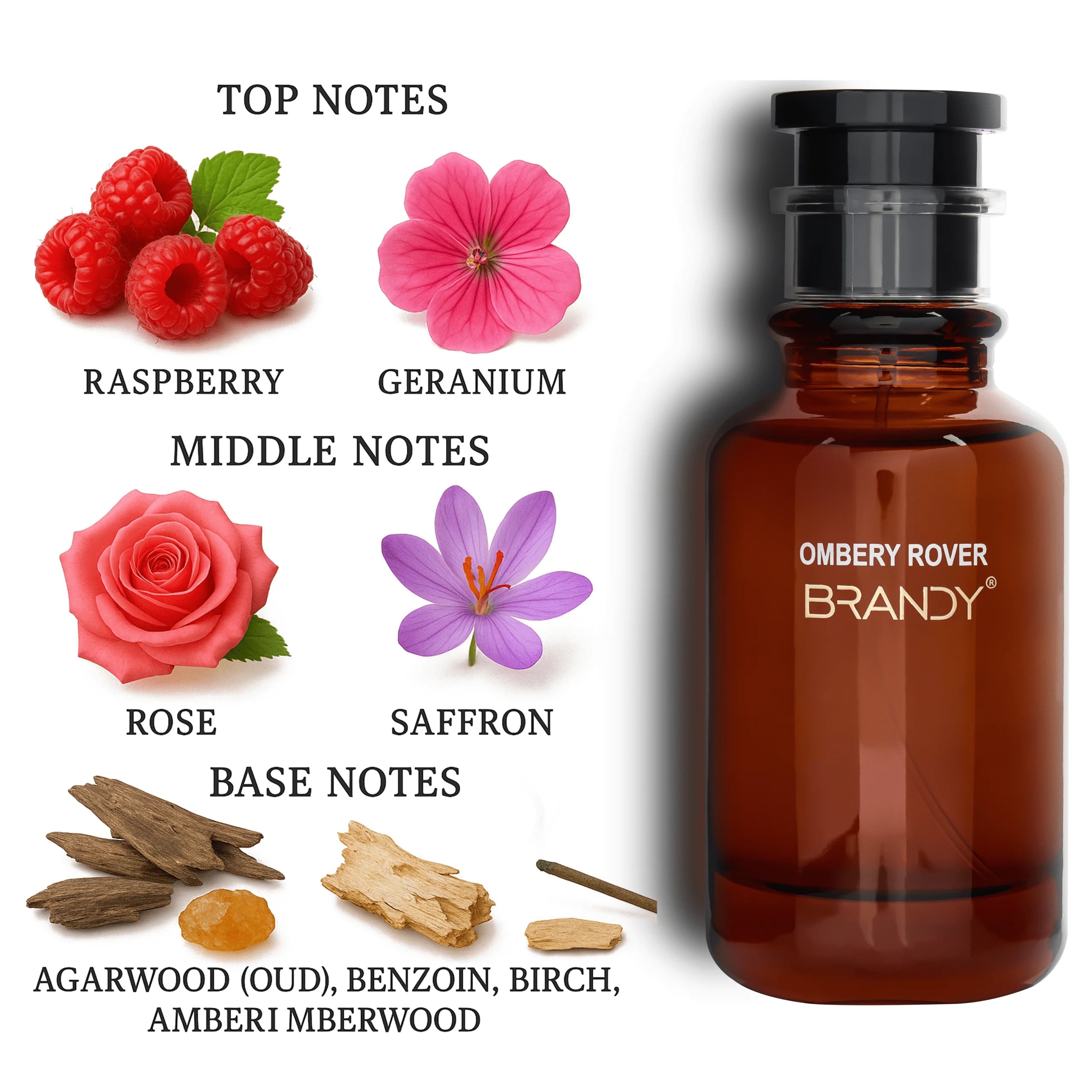 OMBERY ROVER EDP 100ML - BRANDY DESIGNS (5)