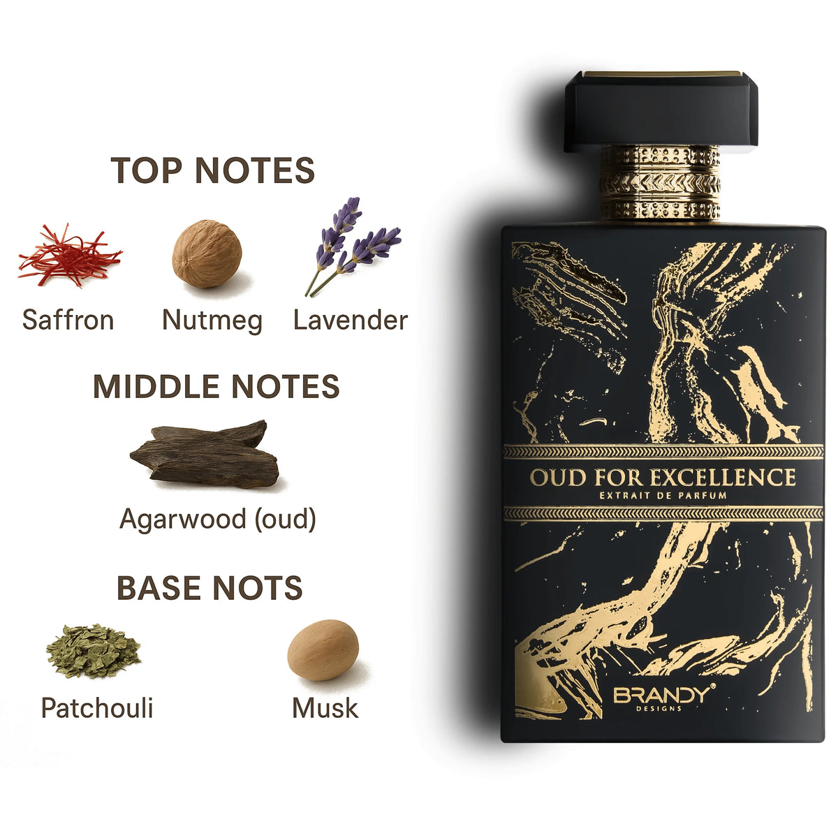 Oud For Excellence by Brandy Designs Eau de Parfum 100ml bottle, alternate view 3