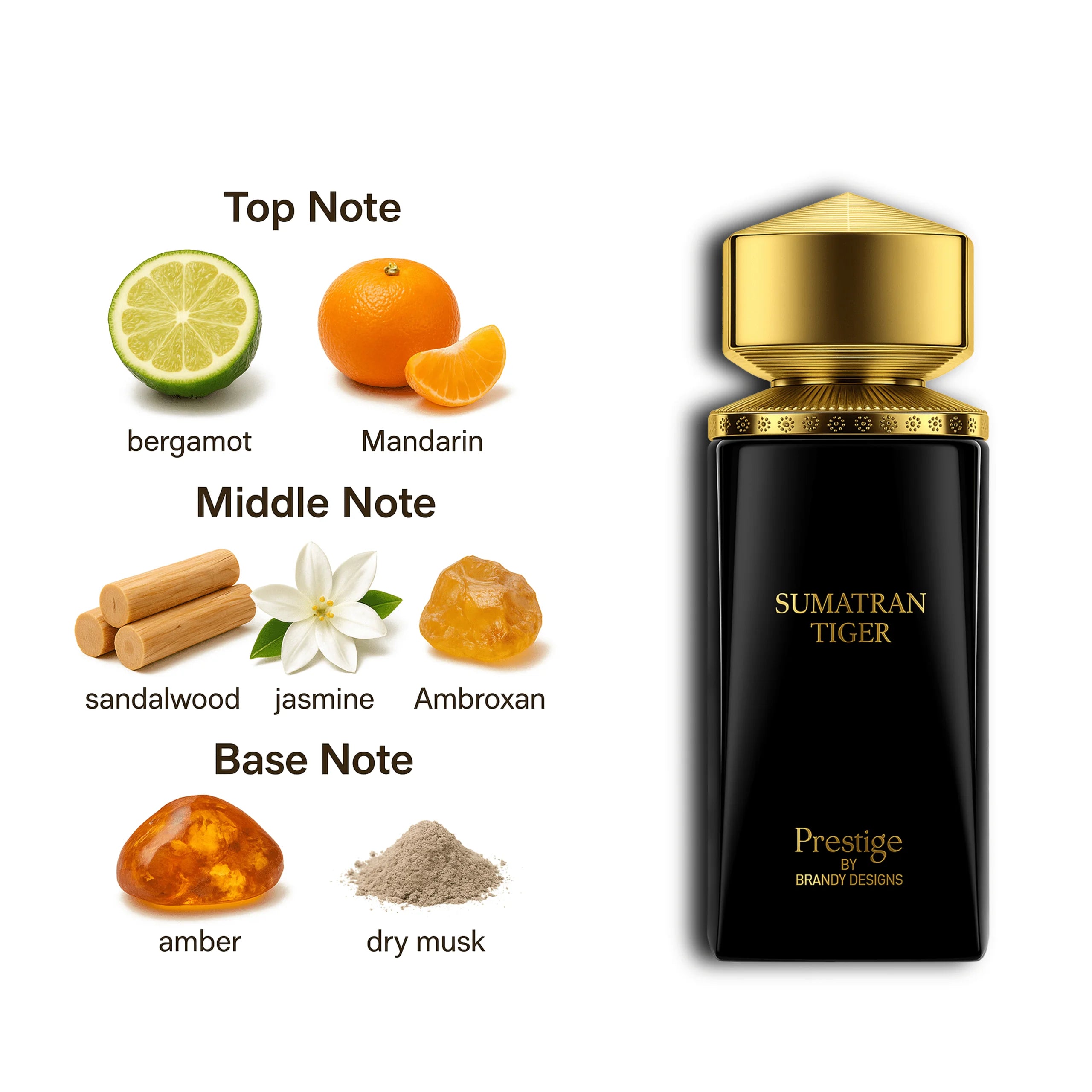 SUMATRAN TIGER PRESTIGE EDP 100ML - BRANDY DESIGNS (4)