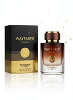 WAYFARER HOMME EDP 100ML - PANDORA