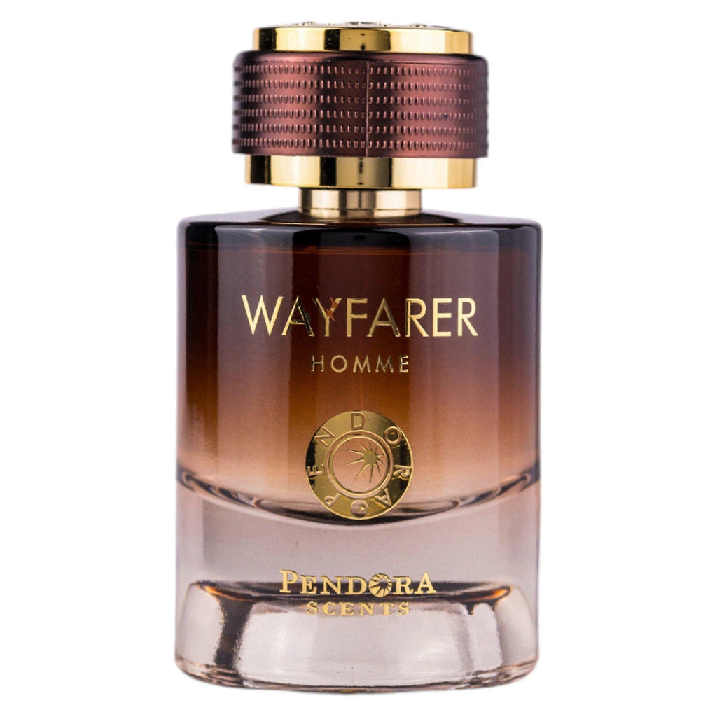 WAYFARER HOMME EDP 100ML - PANDORA (2)