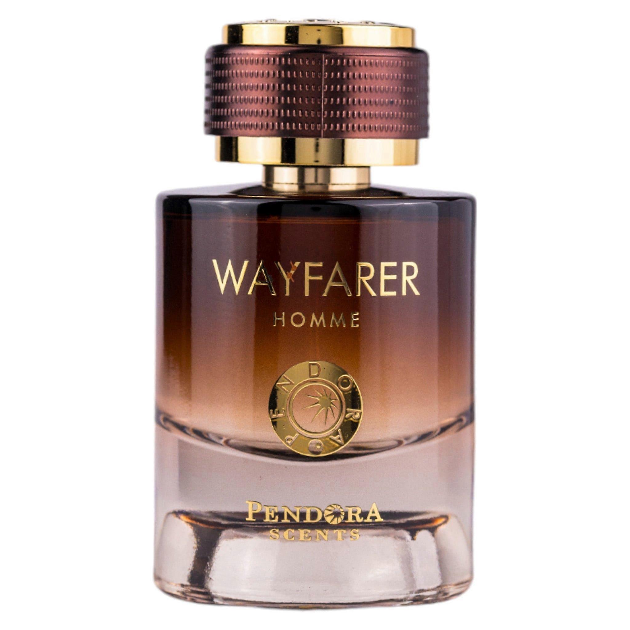 WAYFARER HOMME EDP 100ML - PANDORA (2)